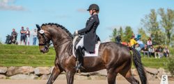 Venez encourager les cavaliers lors de la Classique de dressage printanière, une belle façon de découvrir les sports équestres!