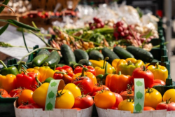 Venez découvrir les produits du Québec au marché public du Vieux-Bromont!