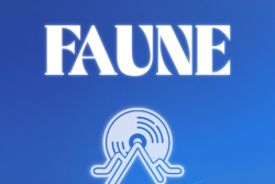 Come dance at the FAUNE Festival at the public square!