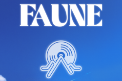 Joignez-vous au festival de FAUNE à la Place publique!