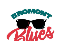 Venez assister au spectacle Bromont Blues à la place publique!