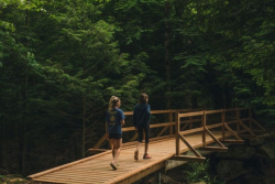 Partez à la découverte du Mont Gale en participant à la randonnée guidée le 29 août!