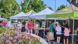 Quel bonheur de remplir ses sacs de produits locaux ! Rendez-vous au marché public du Vieux-Bromont tous les dimanches.