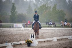 Venez vivre la finale régionale de compétition équestres avec Caballista au Parc équestre olympique du 25 au 27 septembre !